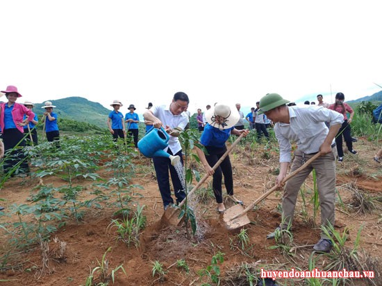 Tuổi trẻ Thuận Châu ra quân trồng và chăm sóc cây ăn quả năm 2020